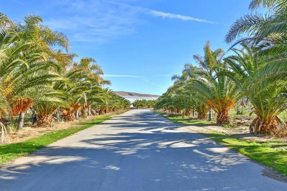 8100 Sofie Court Hollister, CA 95023