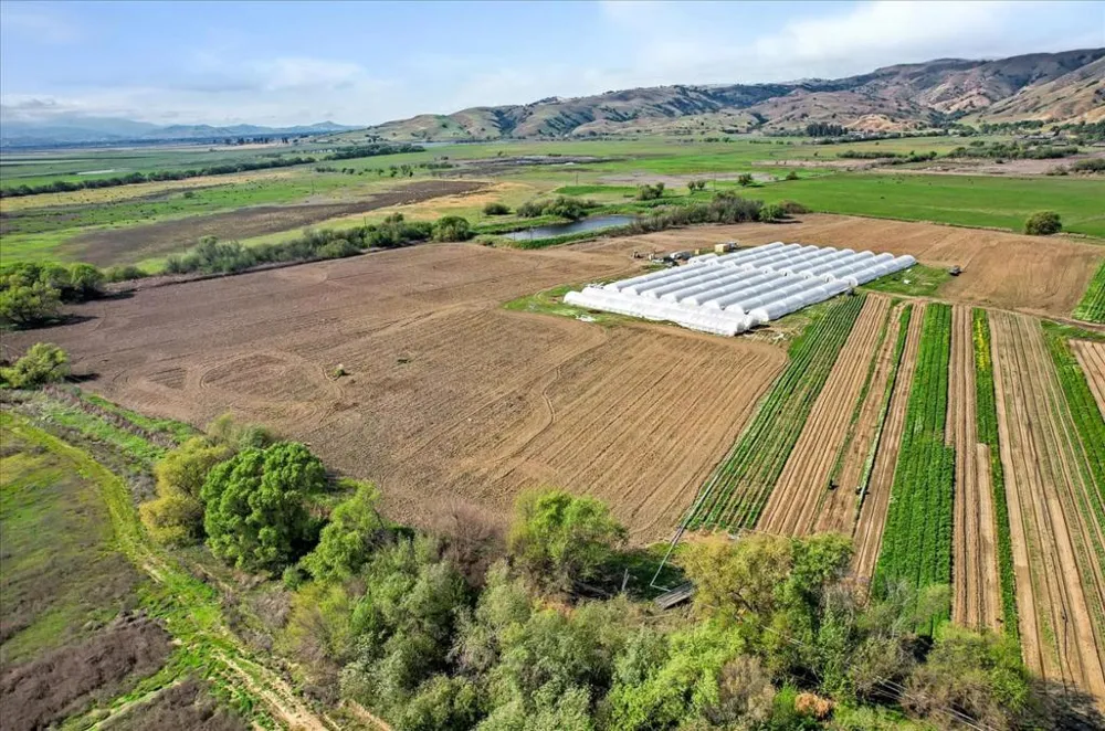 8100 Sofie Court Hollister, CA 95023