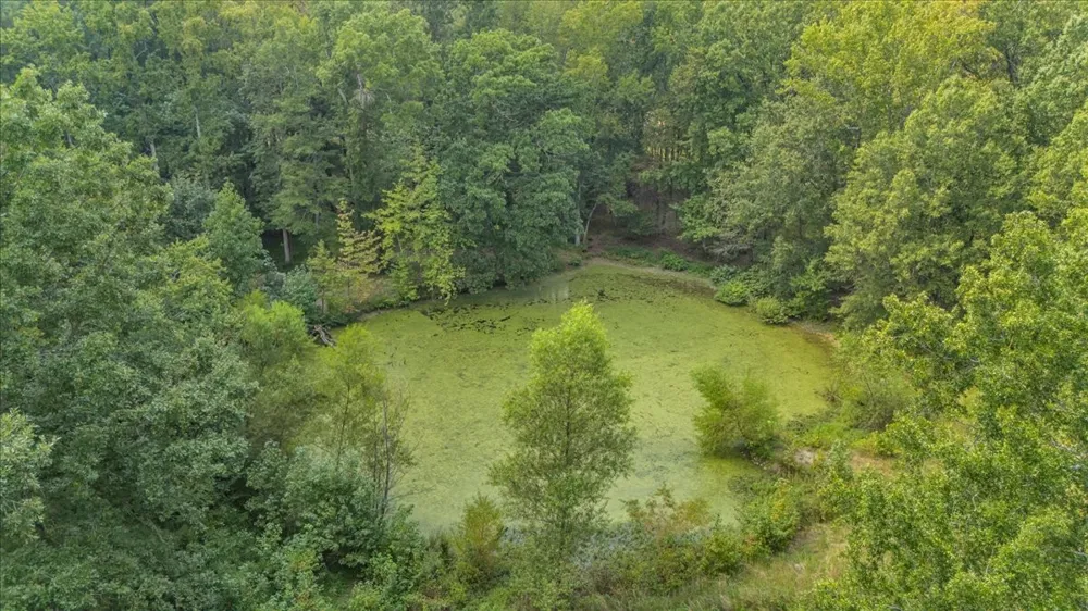 8084 Old Alto Hwy Decherd, TN 37324