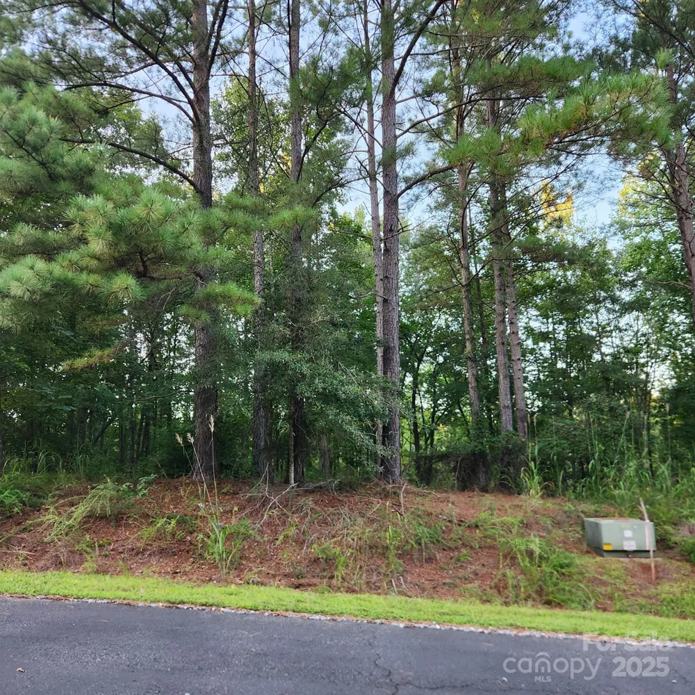 115 Scenic Ridge Drive Mooresboro, NC 28114