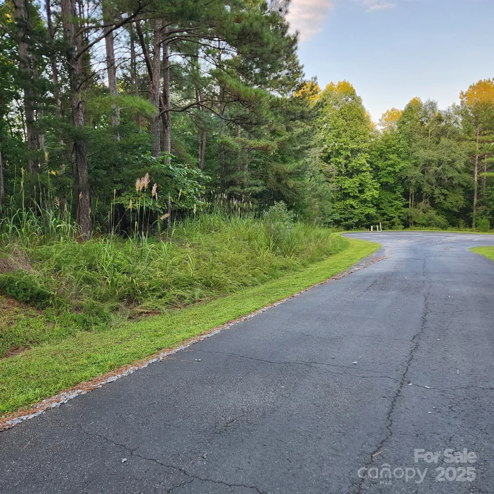 115 Scenic Ridge Drive Mooresboro, NC 28114