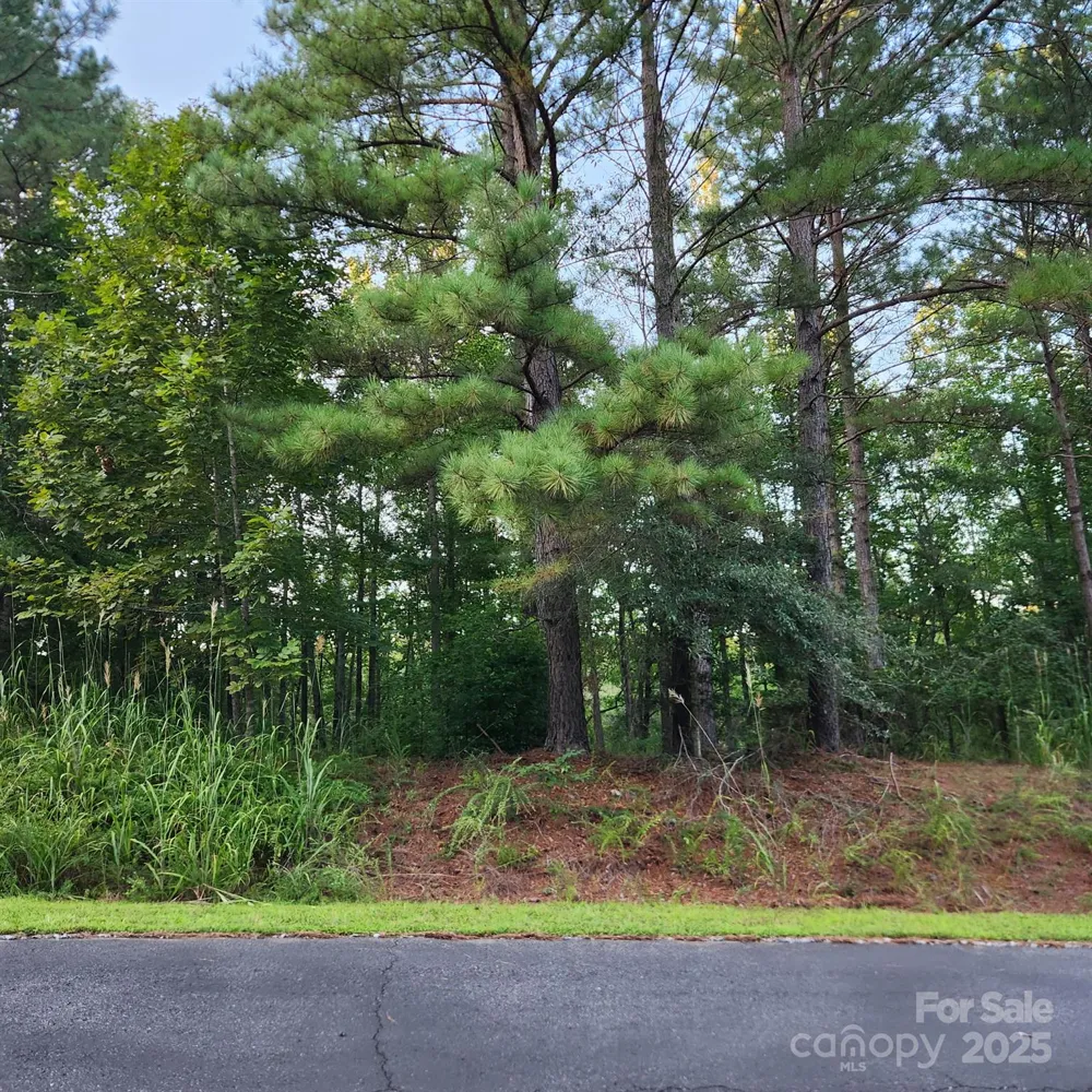 115 Scenic Ridge Drive Mooresboro, NC 28114