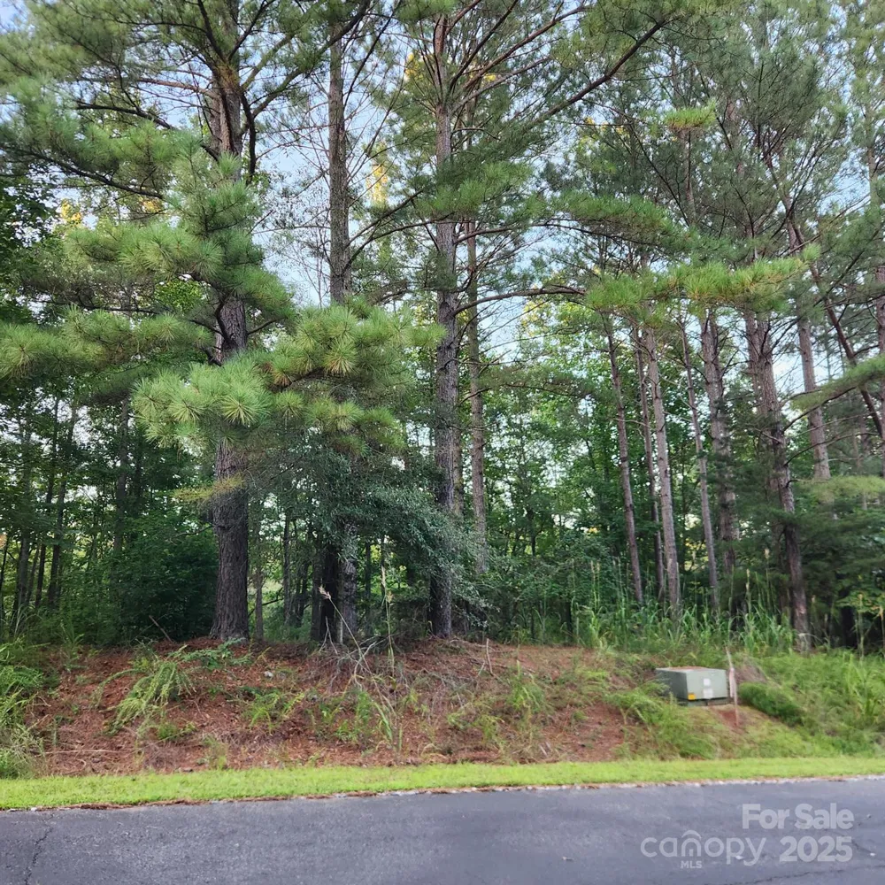 115 Scenic Ridge Drive Mooresboro, NC 28114