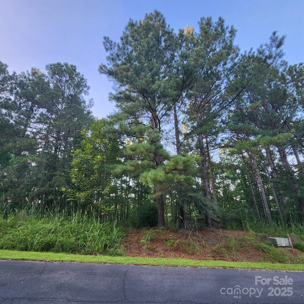 115 Scenic Ridge Drive Mooresboro, NC 28114