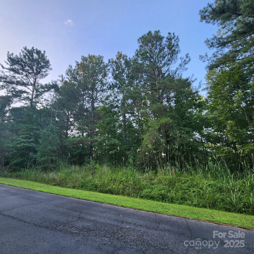 115 Scenic Ridge Drive Mooresboro, NC 28114