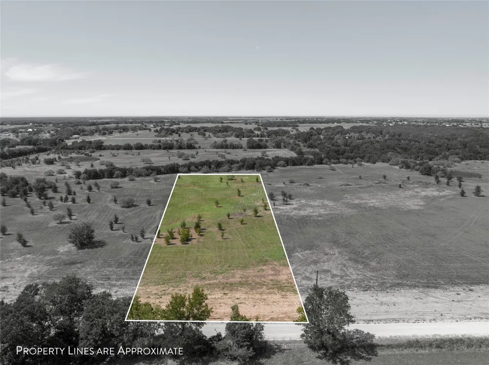 Bugtussle Lane West, TX 76691