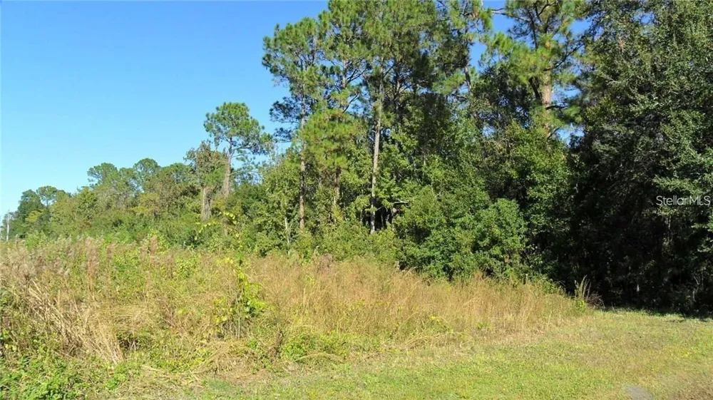 9049 FRYLAND ROAD Orlando, FL 32817