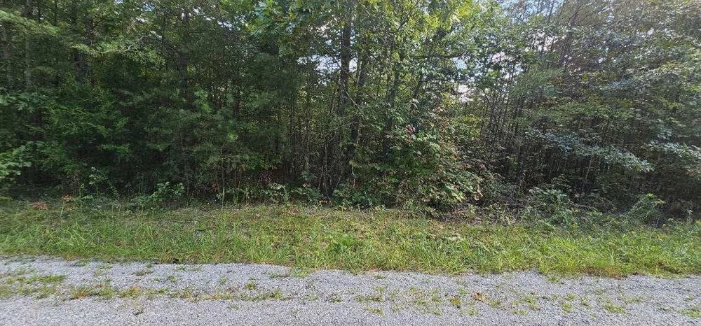 13 Bear Wallow Rd Dunlap, TN 37327