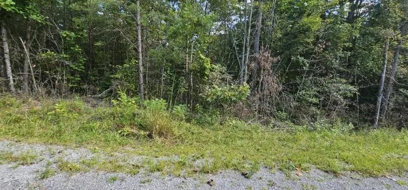 13 Bear Wallow Rd Dunlap, TN 37327