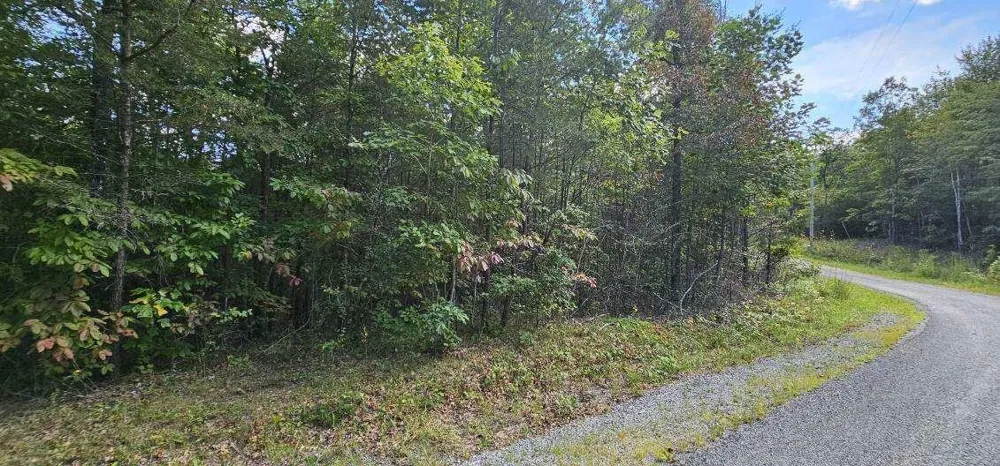 13 Bear Wallow Rd Dunlap, TN 37327