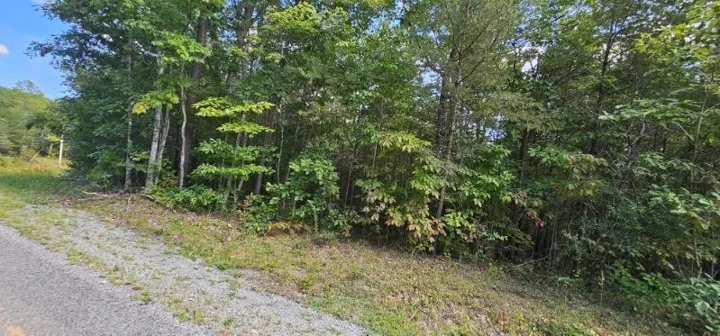 13 Bear Wallow Rd Dunlap, TN 37327