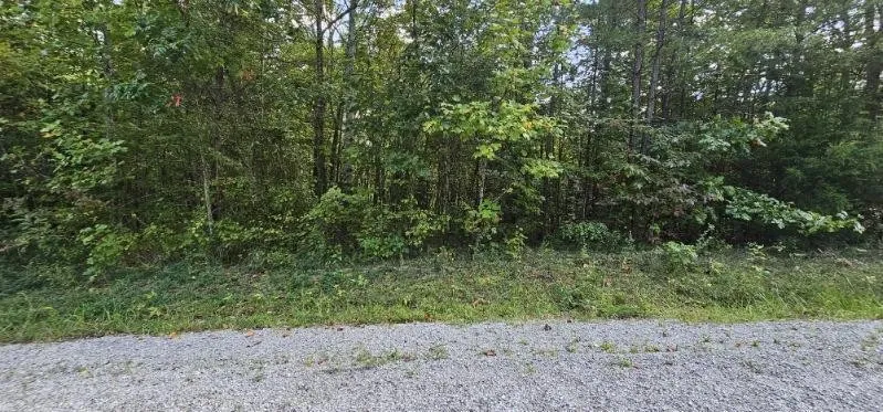 13 Bear Wallow Rd Dunlap, TN 37327