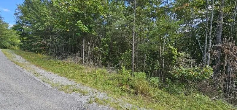 13 Bear Wallow Rd Dunlap, TN 37327