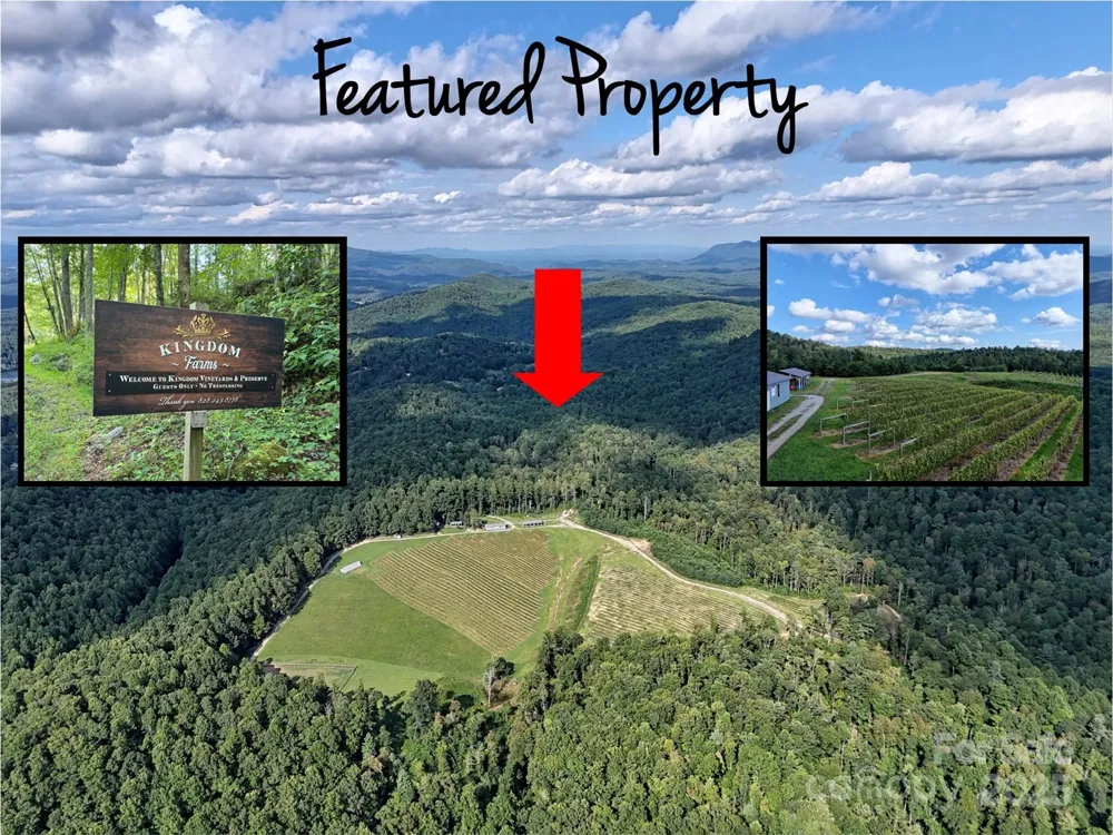 781 Payne Drive Zirconia, NC 28790