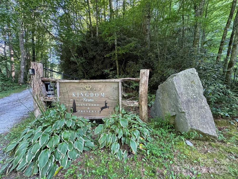 781 Payne Drive Zirconia, NC 28790