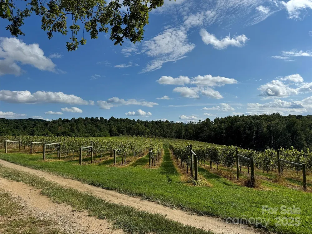 781 Payne Drive Zirconia, NC 28790