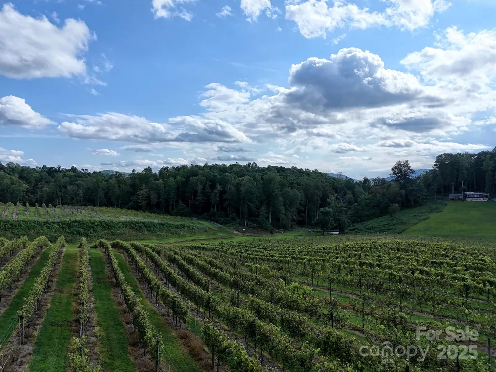 781 Payne Drive Zirconia, NC 28790