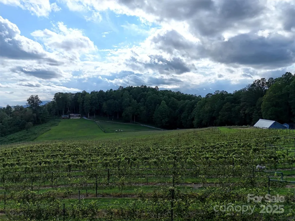 781 Payne Drive Zirconia, NC 28790