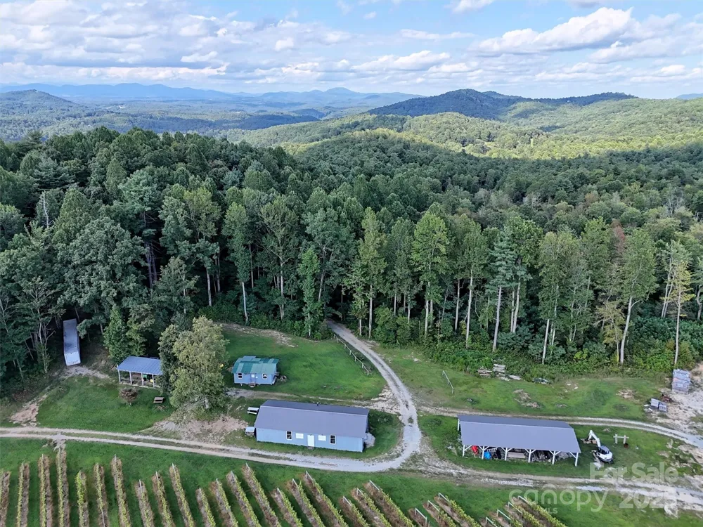 781 Payne Drive Zirconia, NC 28790