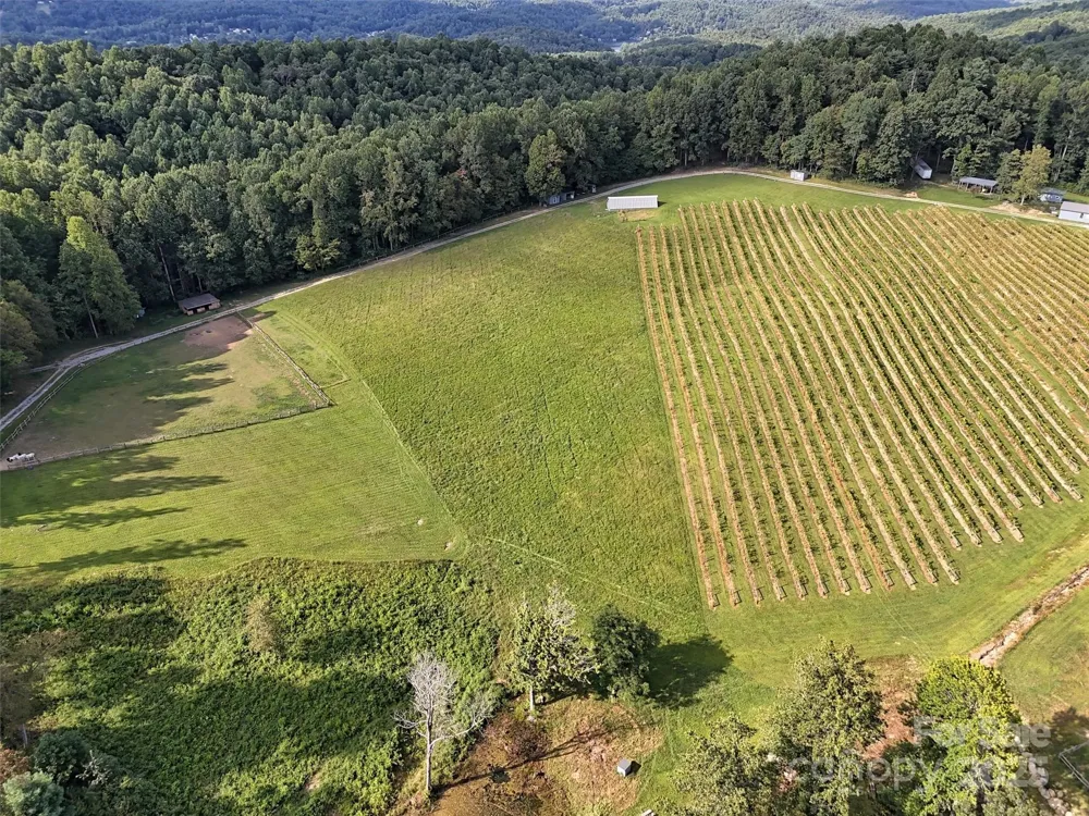 781 Payne Drive Zirconia, NC 28790