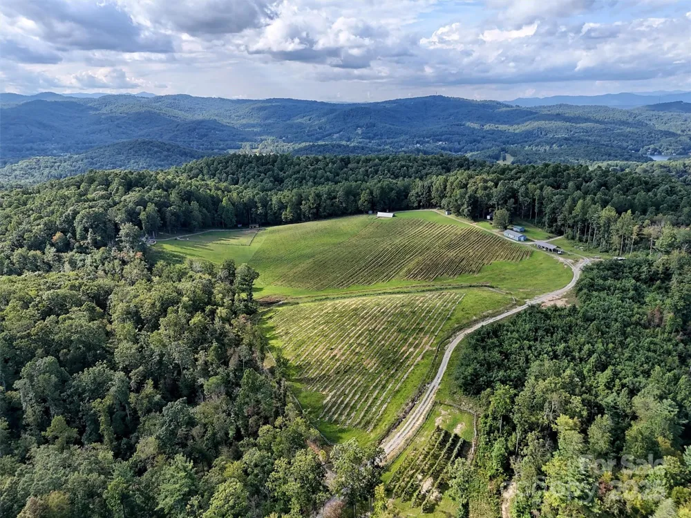 781 Payne Drive Zirconia, NC 28790