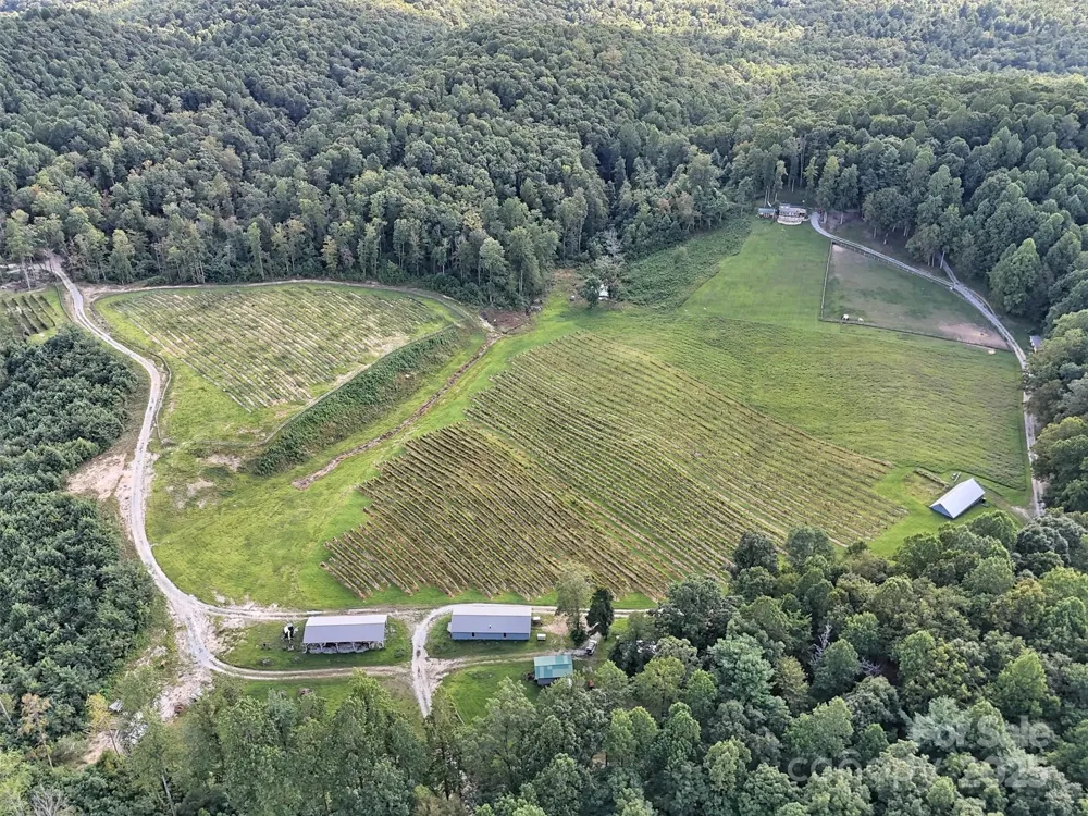 781 Payne Drive Zirconia, NC 28790