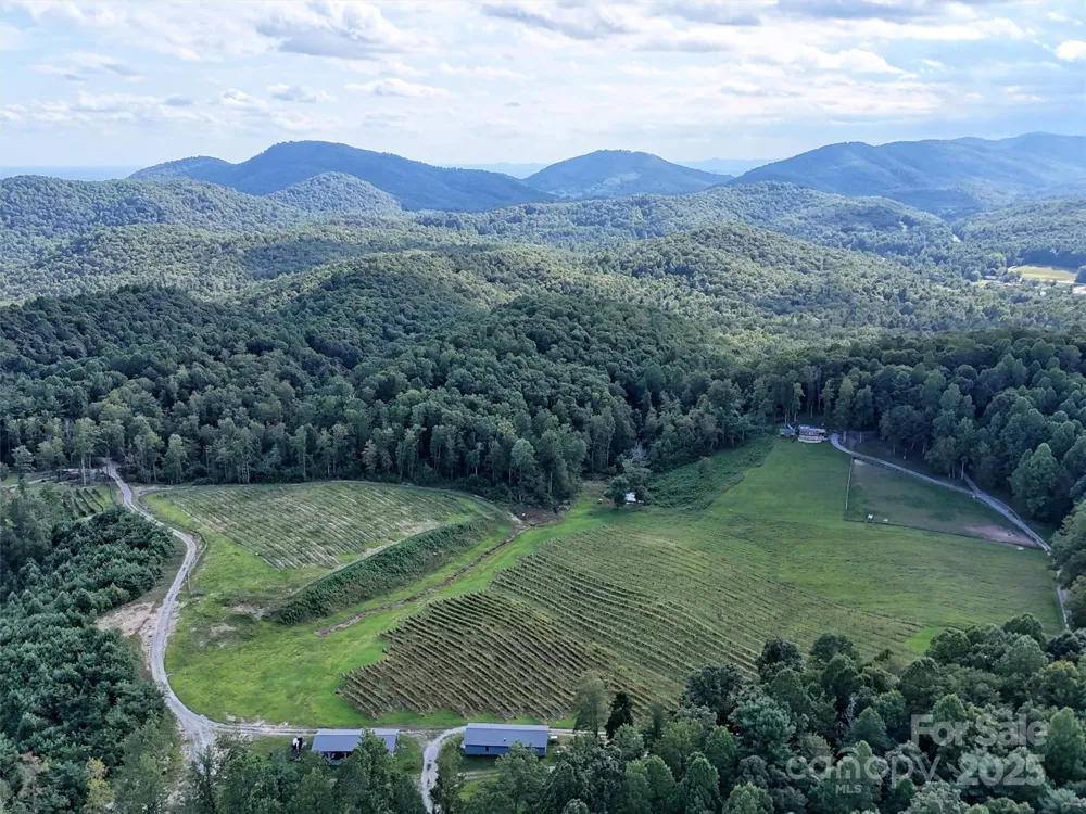 781 Payne Drive Zirconia, NC 28790
