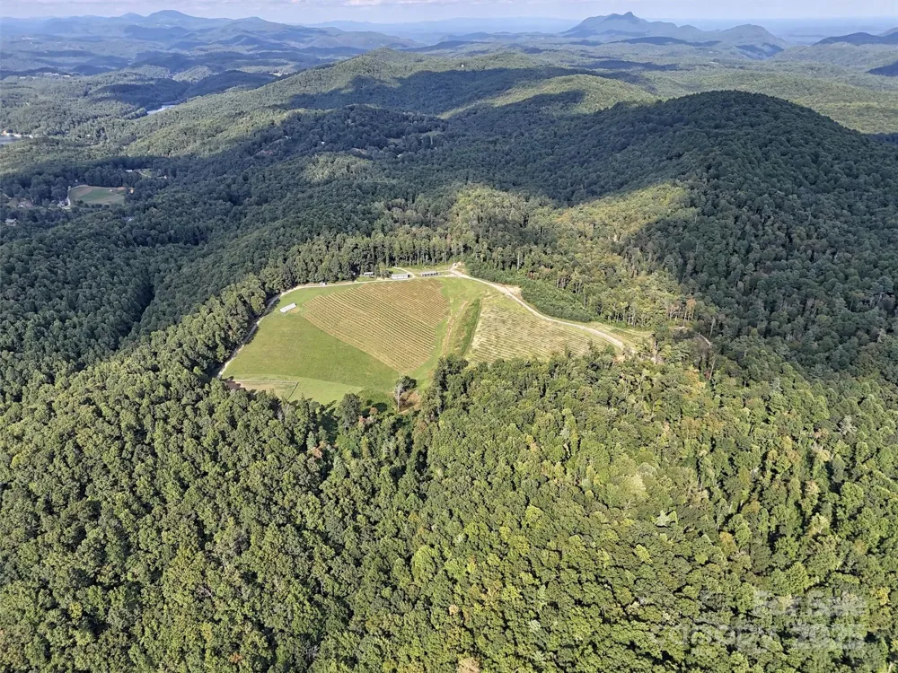 781 Payne Drive Zirconia, NC 28790