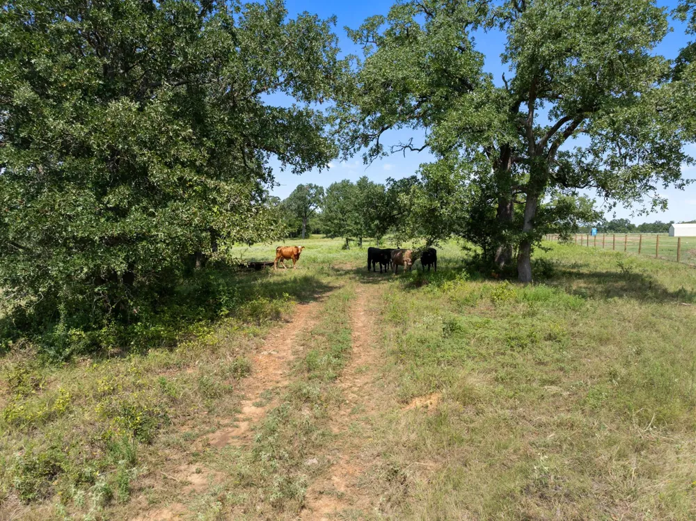 Cazey Loop Franklin, TX 77856