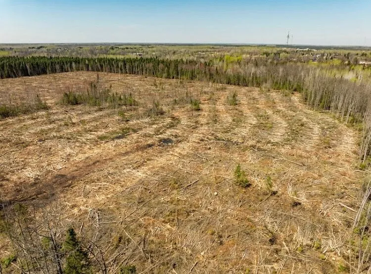 TBD Shorewood Drive International Falls, MN 56649