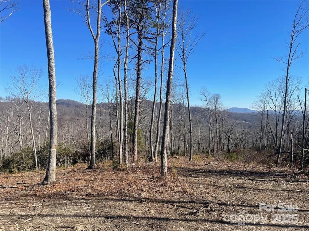 Lot 59 Mountain Grove Lane Fletcher, NC 28732