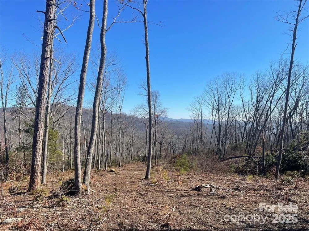 Lot 59 Mountain Grove Lane Fletcher, NC 28732