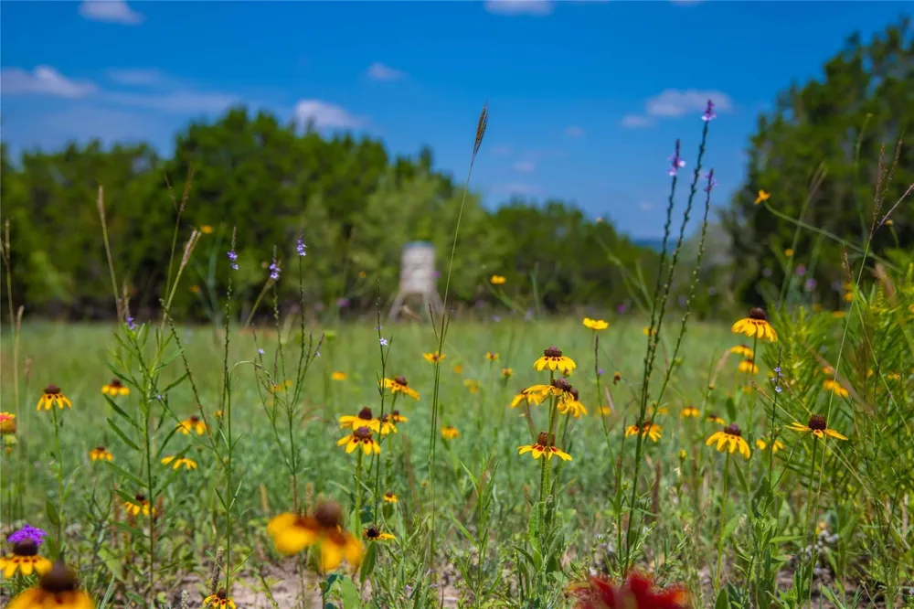 180 County Road 140 Goldthwaite, TX 76844