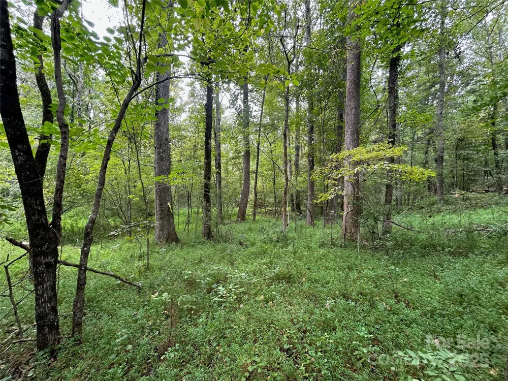 3485 Cedar Circle Road Lancaster, SC 29720