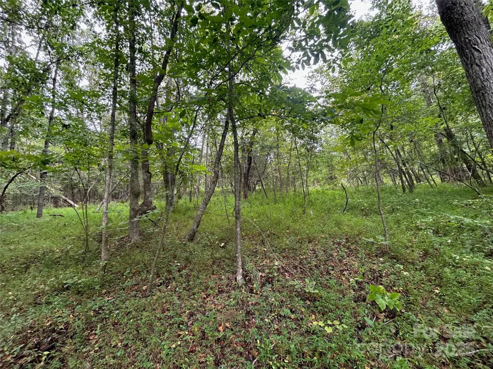 3485 Cedar Circle Road Lancaster, SC 29720