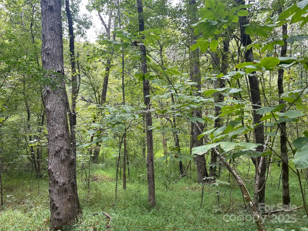 3485 Cedar Circle Road Lancaster, SC 29720