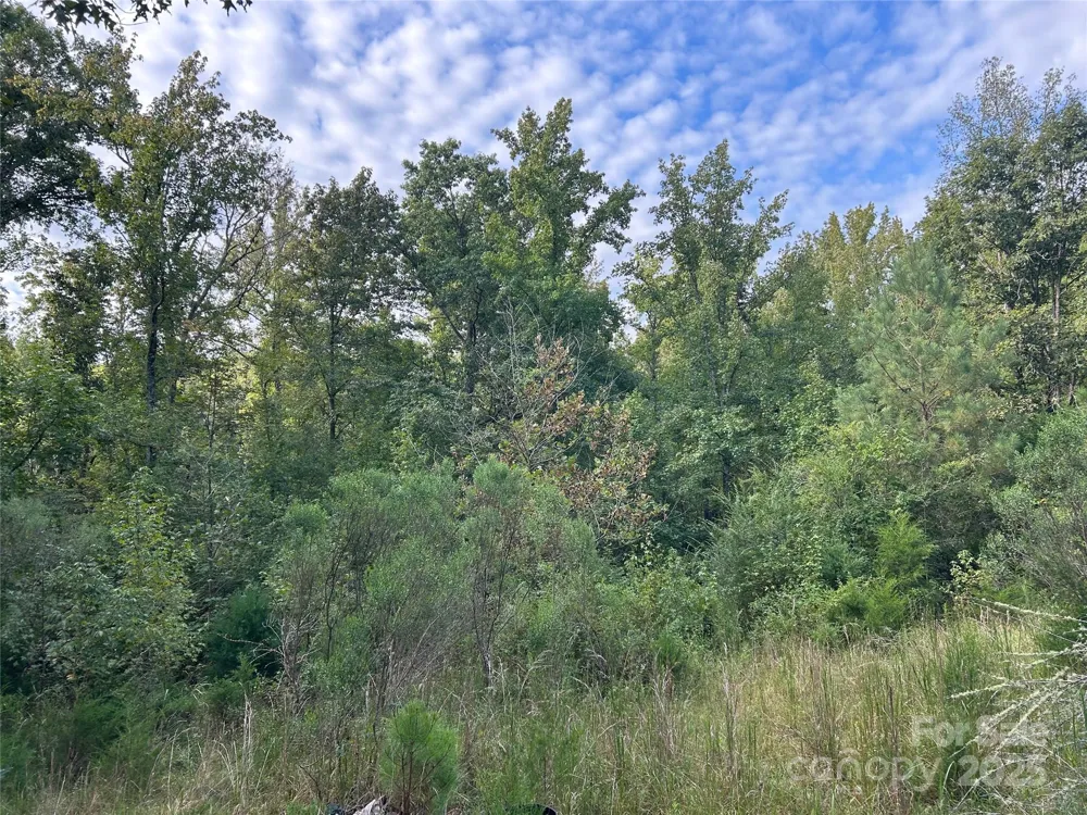 3485 Cedar Circle Road Lancaster, SC 29720