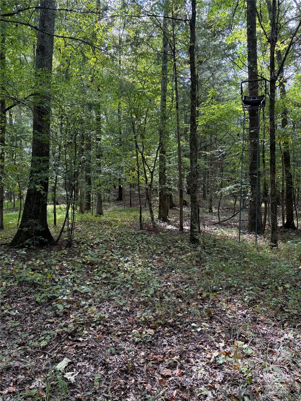 3485 Cedar Circle Road Lancaster, SC 29720