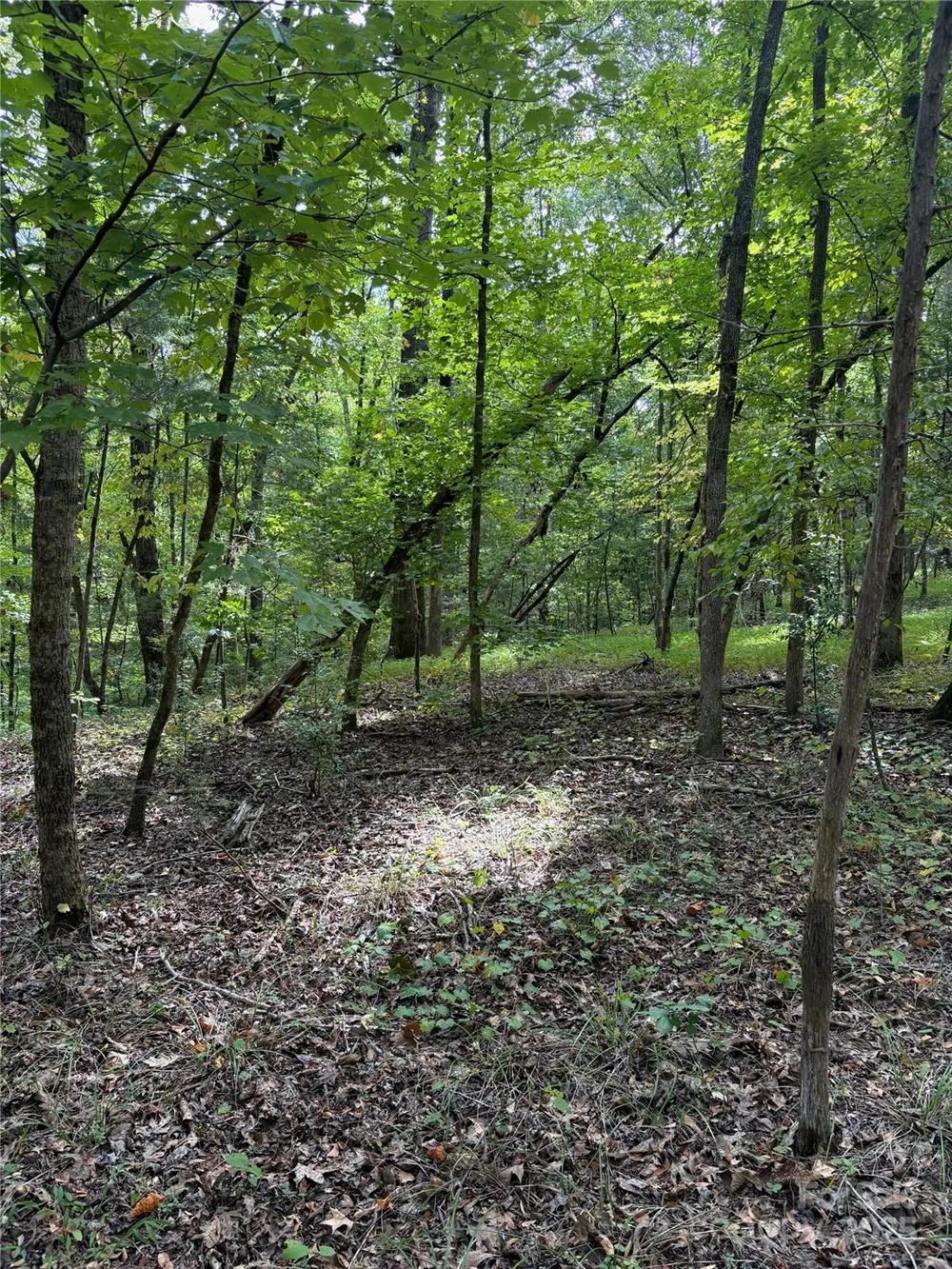 3485 Cedar Circle Road Lancaster, SC 29720