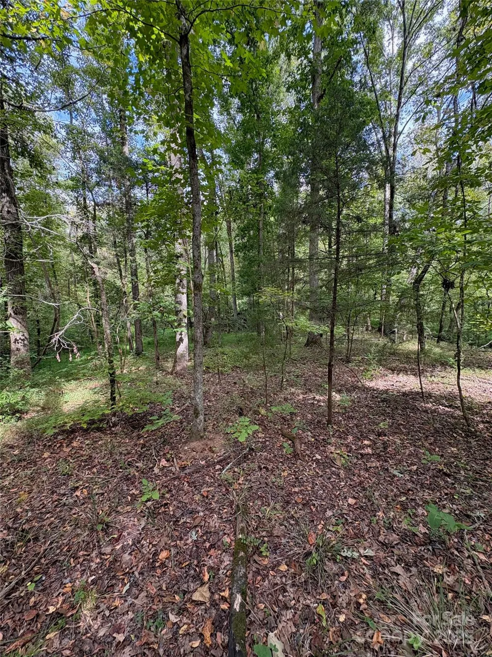 3485 Cedar Circle Road Lancaster, SC 29720