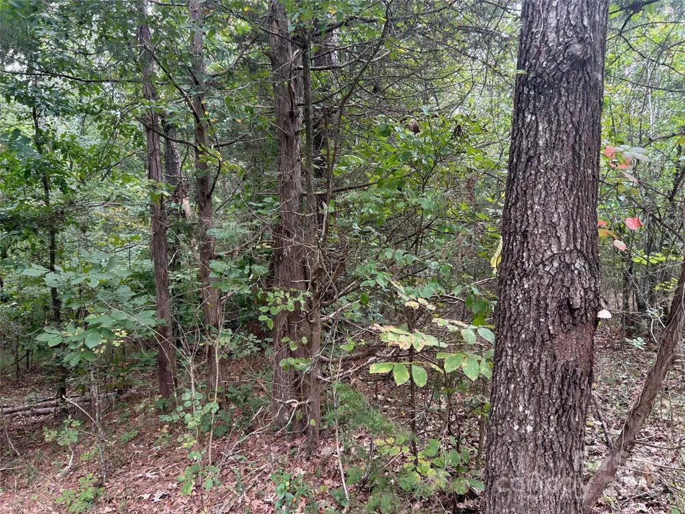 3485 Cedar Circle Road Lancaster, SC 29720