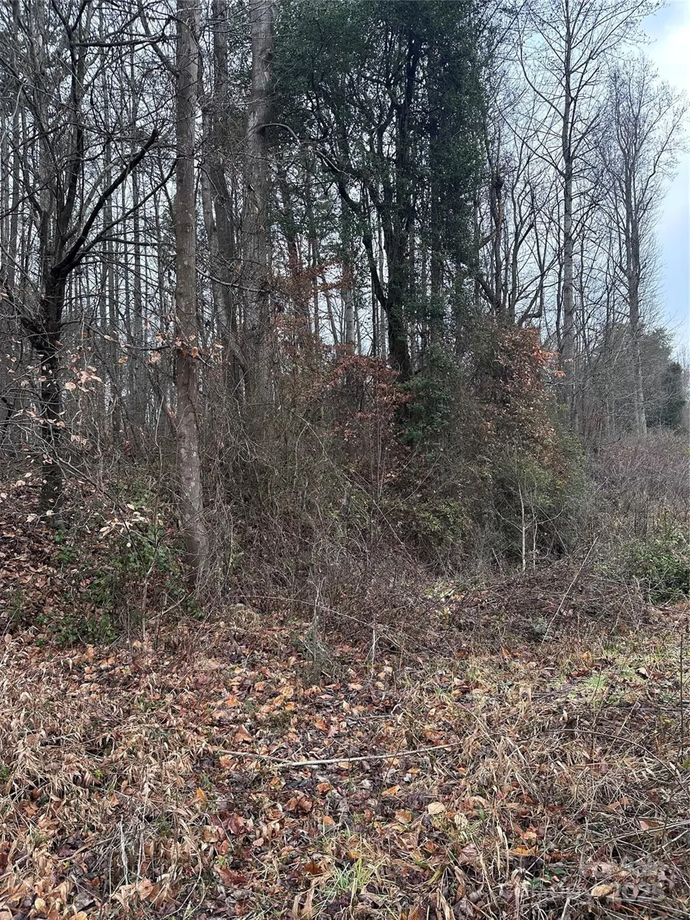 000 S State Street Yadkinville, NC 27055