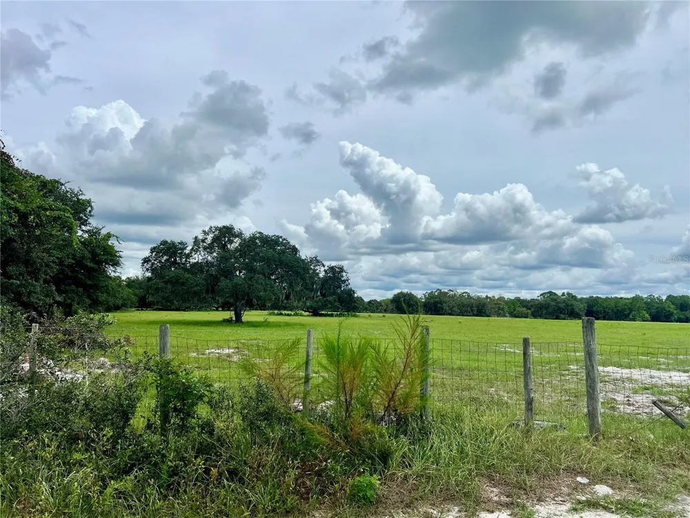 ALTURAS BABSON PARK CUT-OFF Bartow, FL 33830