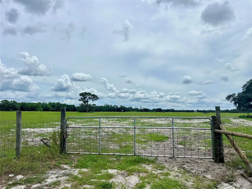 ALTURAS BABSON PARK CUT-OFF Bartow, FL 33830