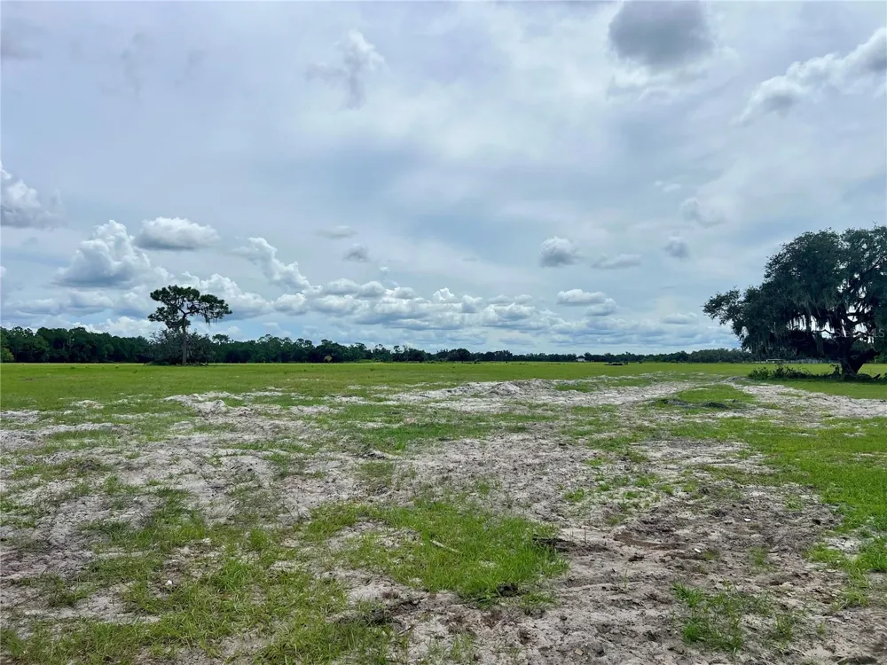 ALTURAS BABSON PARK CUT-OFF Bartow, FL 33830