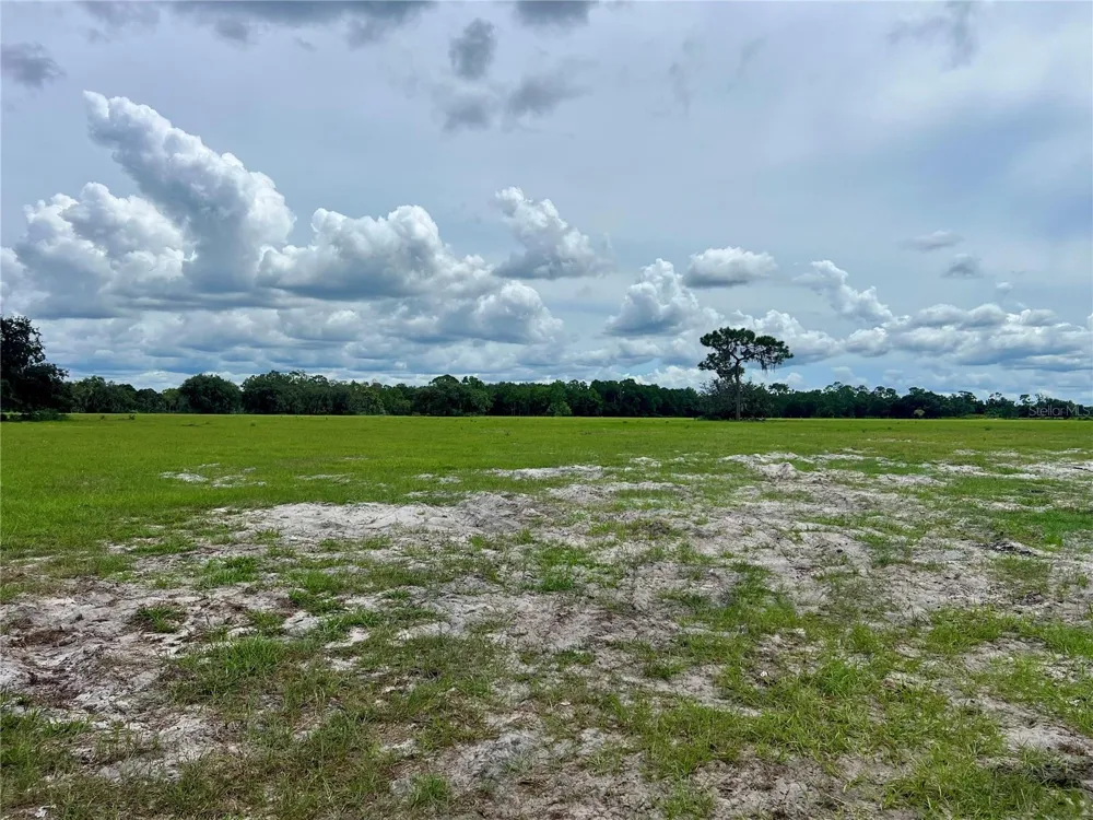 ALTURAS BABSON PARK CUT-OFF Bartow, FL 33830