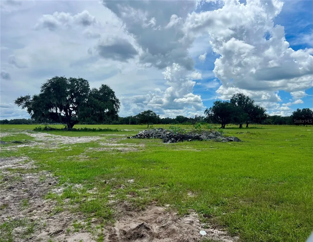 ALTURAS BABSON PARK CUT-OFF Bartow, FL 33830