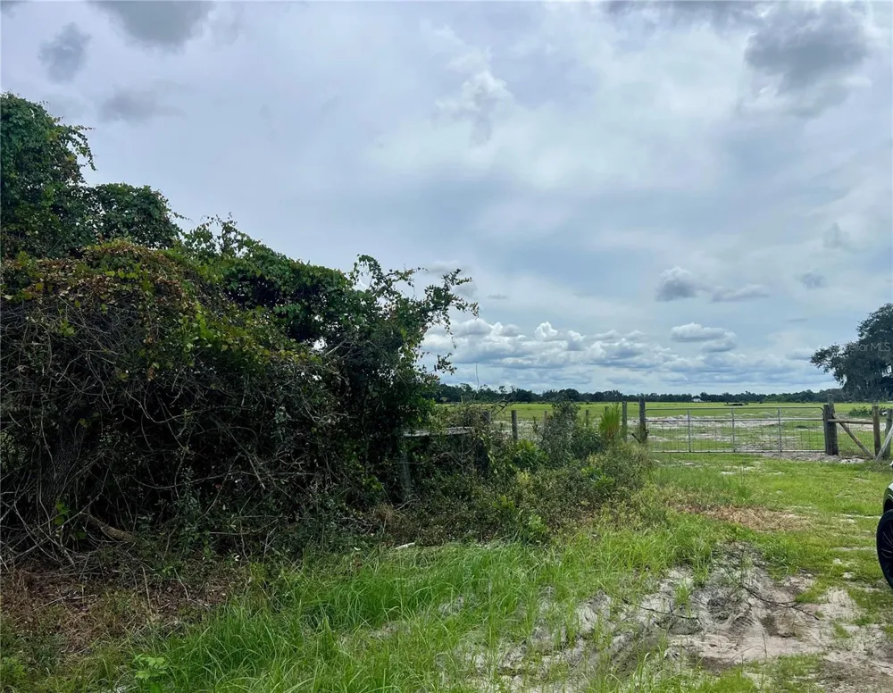 ALTURAS BABSON PARK CUT-OFF Bartow, FL 33830