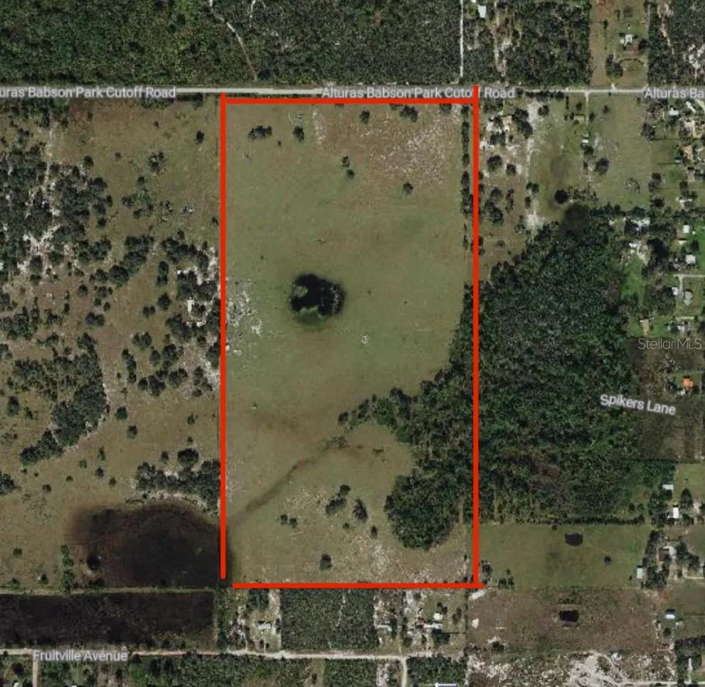 ALTURAS BABSON PARK CUT-OFF Bartow, FL 33830