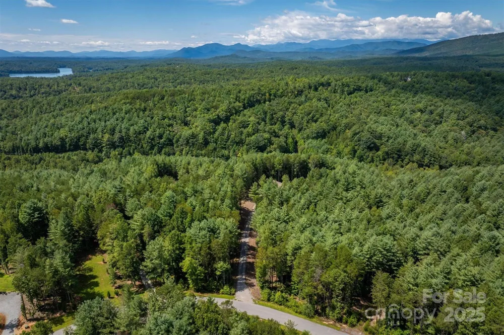 1370 Saylor Way #8 Nebo, NC 28761